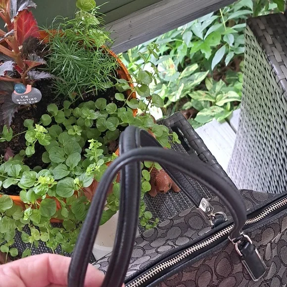 Coach F36220 Kelsey Black Leather Trim w Gray "C" Signature Shoulder - Picture 9 of 12